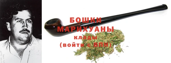стафф Новозыбков