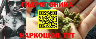 бошки Обь